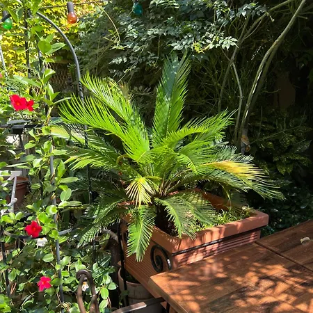 ベッド・アンド・ブレックファスト 